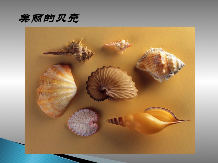 幻燈片1.jpg