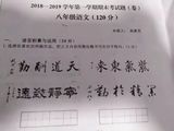 文章附圖