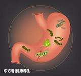 文章附圖
