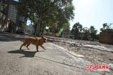 文章附圖
