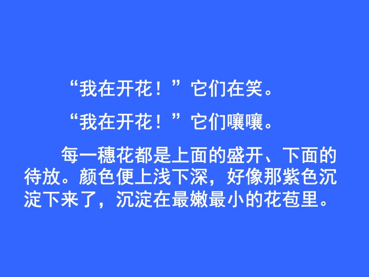 幻燈片09.jpg