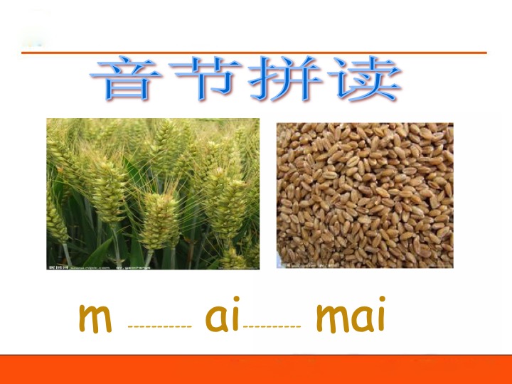 幻燈片07.jpg