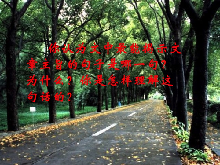 幻燈片15.jpg