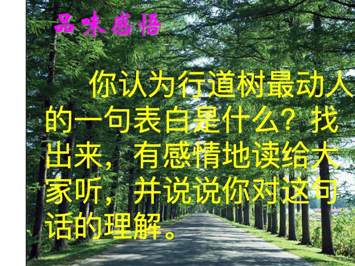 幻燈片13.jpg