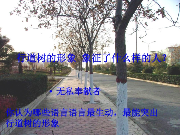 幻燈片09.jpg