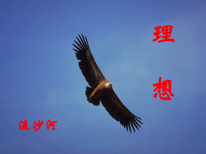 幻燈片01.jpg