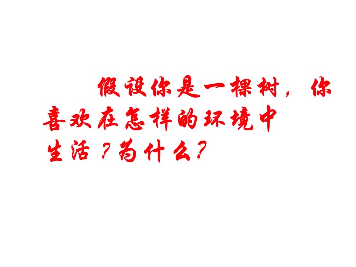 幻燈片02.jpg