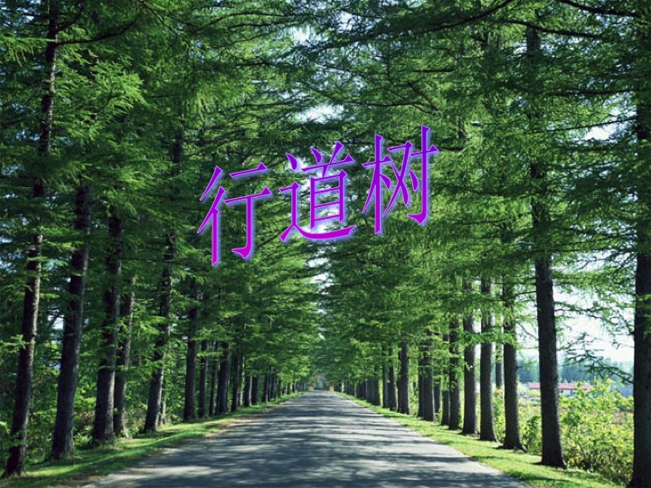 幻燈片03.jpg