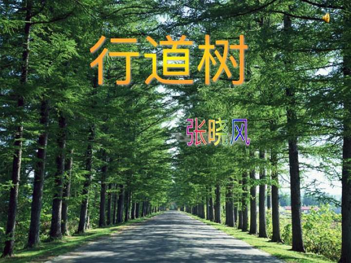 幻燈片01.jpg