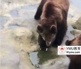 文章附圖