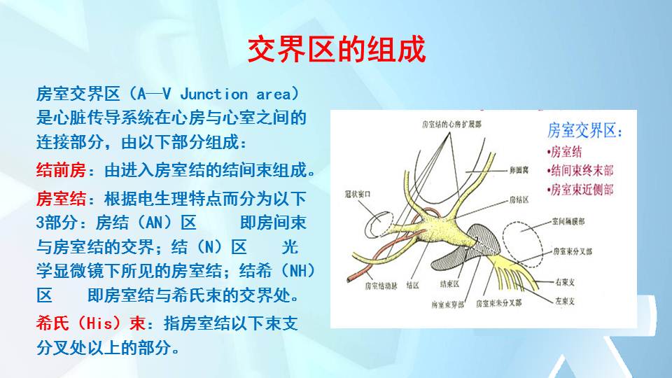 幻燈片2.jpg