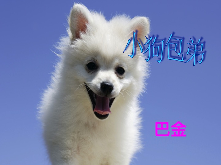 幻燈片02.jpg