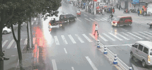 8.gif