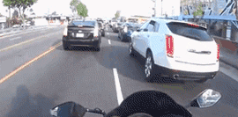 11.gif