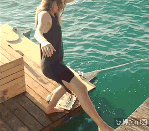 12.gif