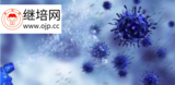 文章附圖